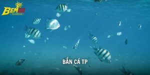 bắn cá tp