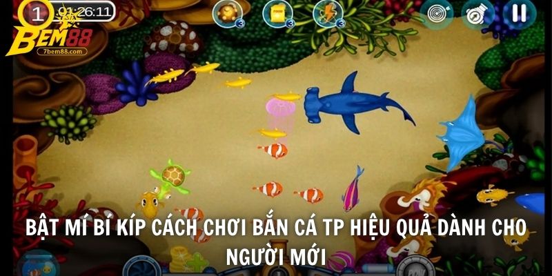 Bật mí bí kíp cách chơi bắn cá TP hiệu quả dành cho người mới