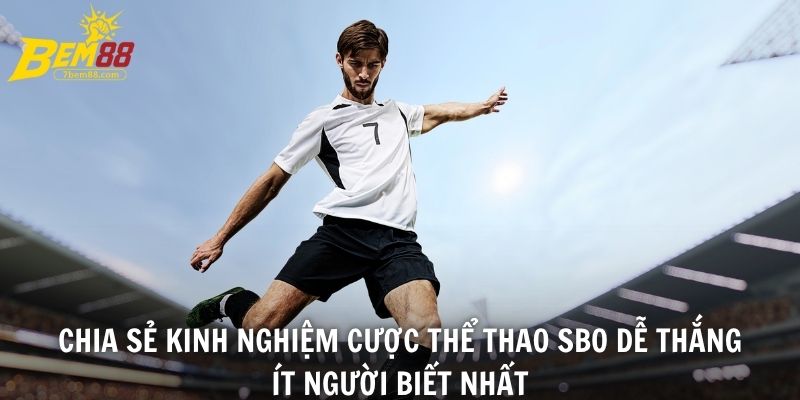Chia sẻ kinh nghiệm cược thể thao SBO dễ thắng ít người biết nhất