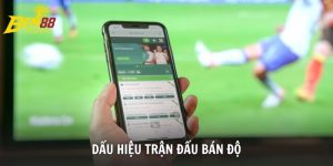 Dấu Hiệu Trận Đấu Bán Độ