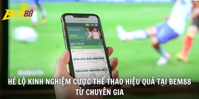 Hé lộ kinh nghiệm cược thể thao hiệu quả tại BEM88 từ chuyên gia