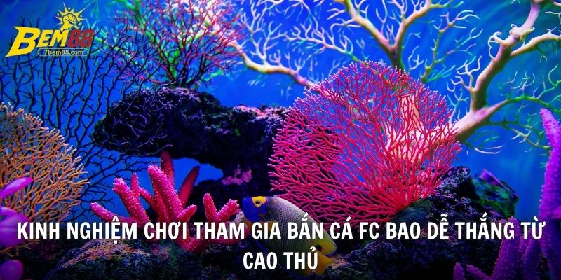 Kinh nghiệm chơi tham gia bắn cá FC bao dễ thắng từ cao thủ