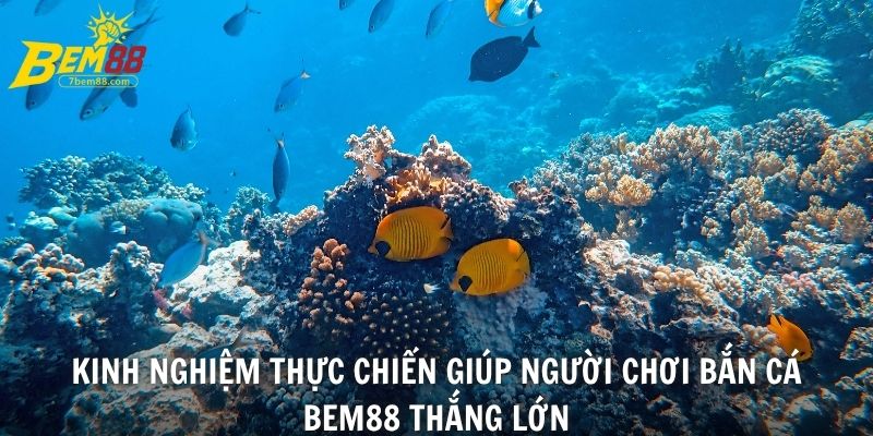 Kinh nghiệm thực chiến giúp người chơi bắn cá BEM88 thắng lớn