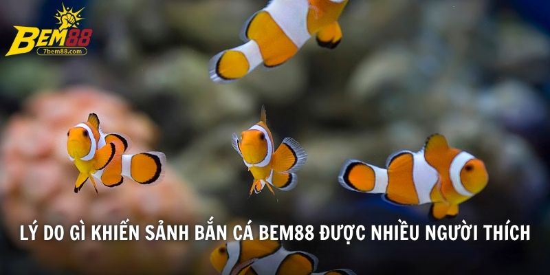 Lý do gì khiến sảnh bắn cá BEM88 được nhiều người thích