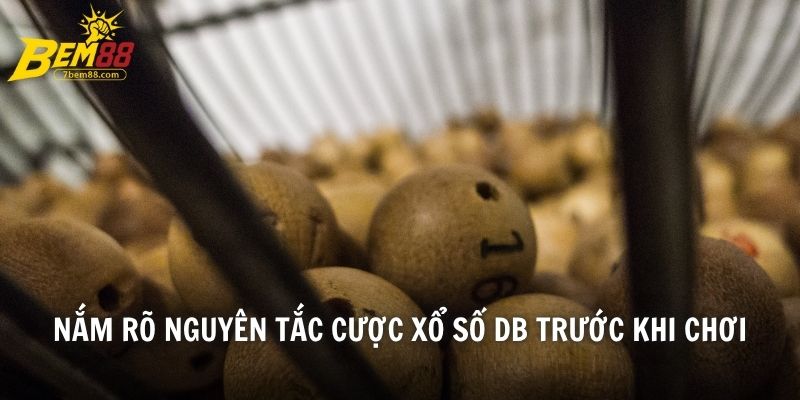 Nắm rõ nguyên tắc cược xổ số DB trước khi chơi