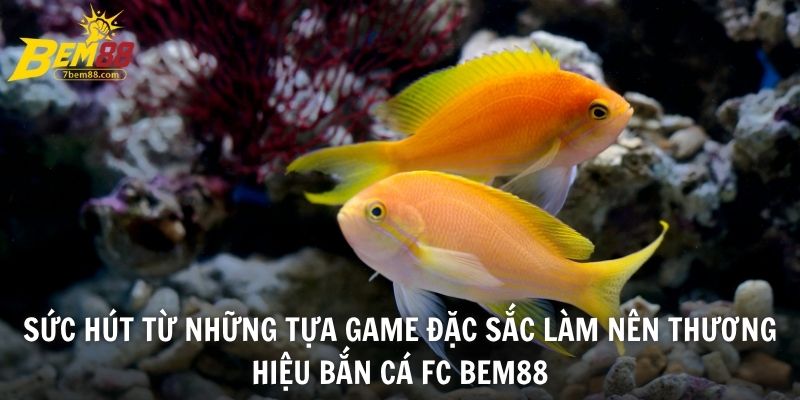 Sức hút từ những tựa game đặc sắc làm nên thương hiệu bắn cá FC BEM88