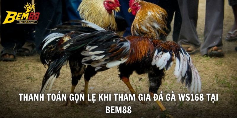 Thanh toán gọn lẹ khi tham gia đá gà WS168 tại BEM88