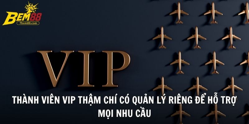 Thành viên VIP thậm chí có quản lý riêng để hỗ trợ mọi nhu cầu