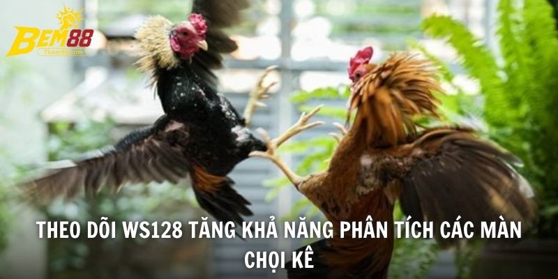 Theo dõi WS128 tăng khả năng phân tích các màn chọi kê