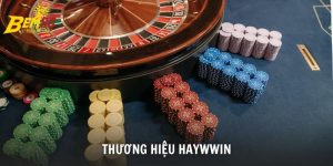 Thương Hiệu Haywwin